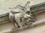 SX07831 Dragon gargoyle oxford building.jpg